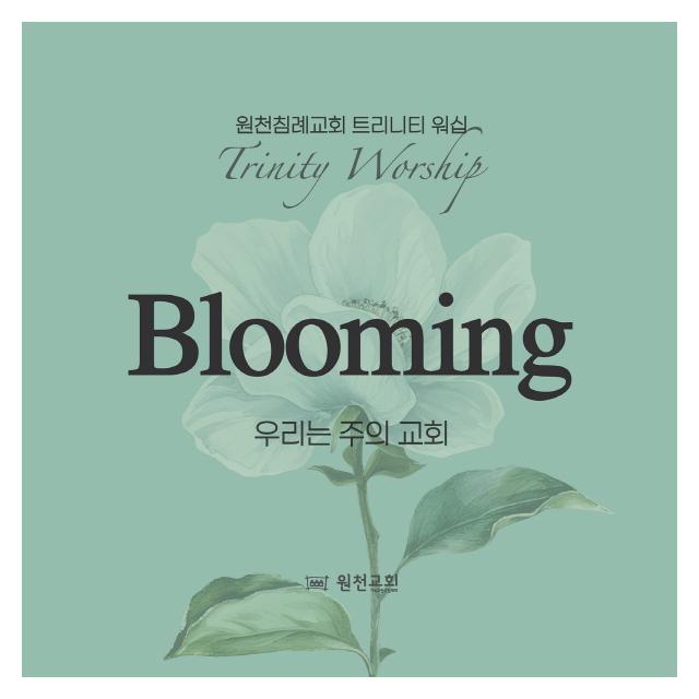 트리니티워십/우리는 주의 교회