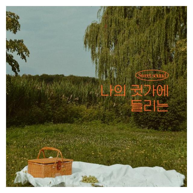 최철민/나의 귓가에 들리는(Sweet Sound)