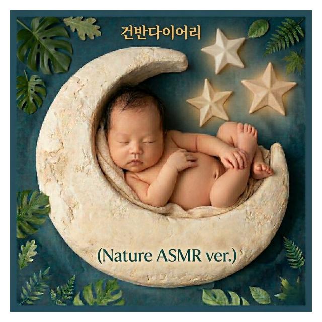 건반다이어리/귀여운찬송 오르골 자장가 (자연ASMR)