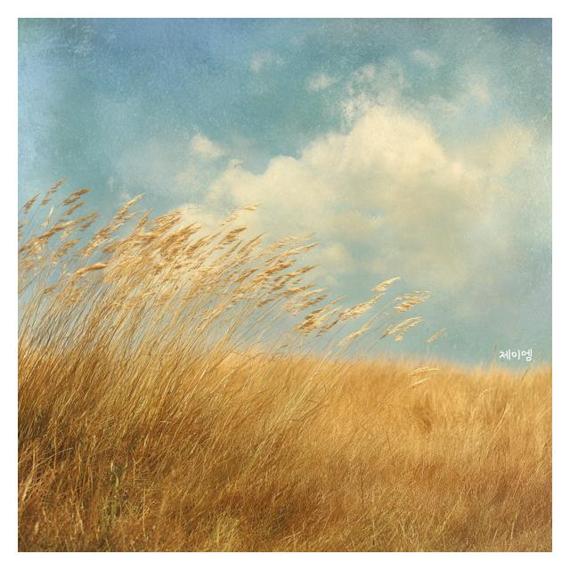 제이엠(JM)/바람따라 구름따라
